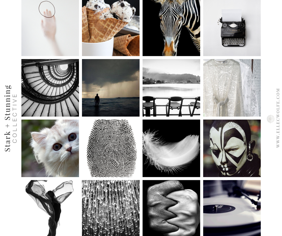 black and white inspiration images, Elle C. Wolfe Interiors, Soulscape