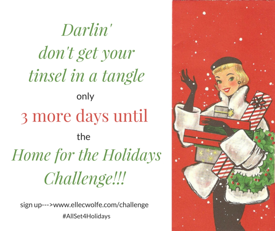 home for the holidays challenge winter 2015